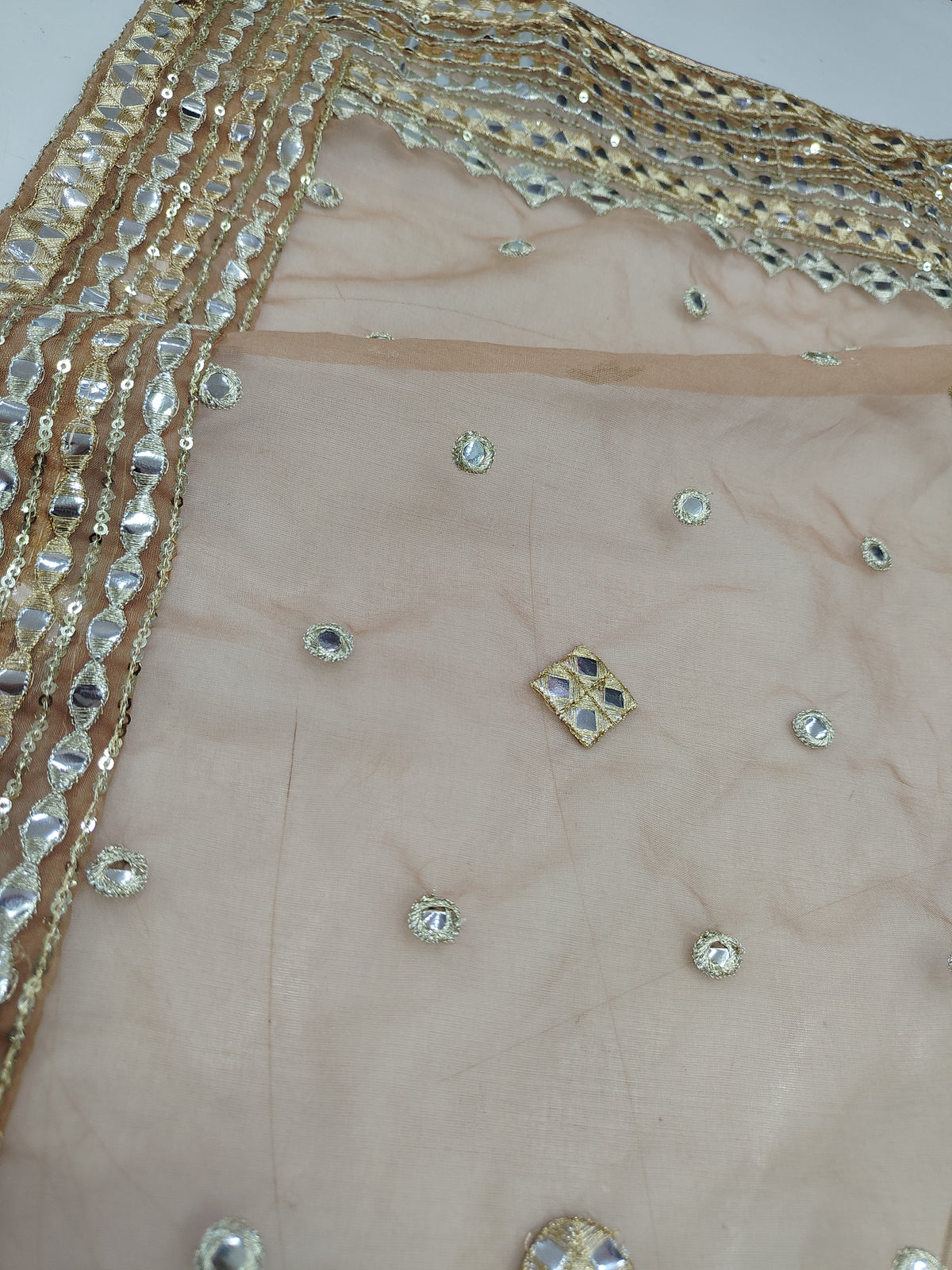 Heavy organza dupatta with heavy lace