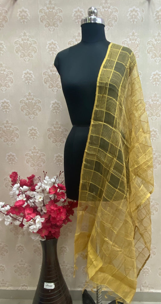 Golden organza dupatta