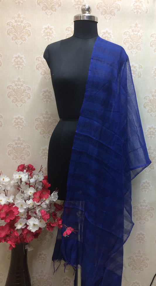 Royal Blue Textured Dupatta