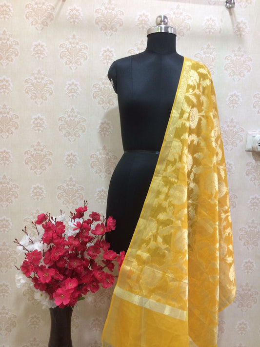 Banarasi heavy organza dupatta