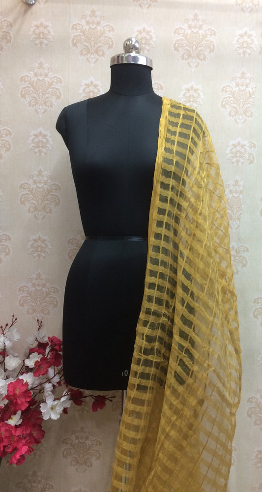 Golden Mustard Yellow Kota Doria Check Dupatta