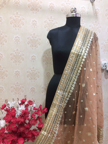 Heavy organza dupatta with heavy lace