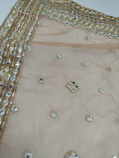 Heavy organza dupatta with heavy lace