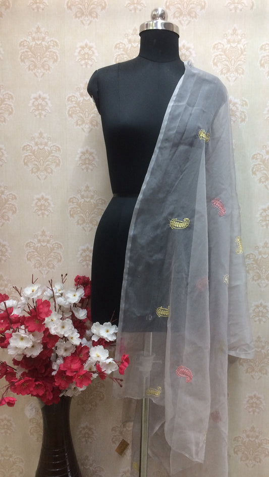 Gray Organza Dupatta with Thread Embroidery