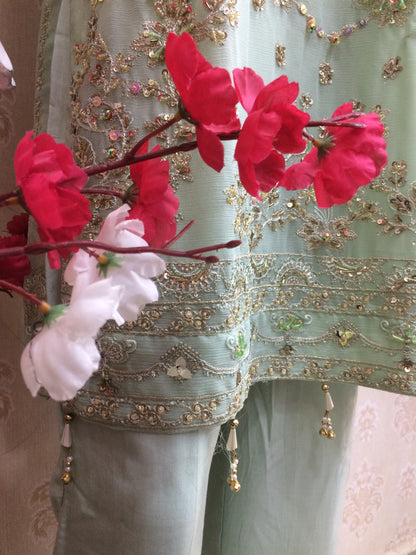 Mint Green Embroidered Chiffon Pakistani heavy dress
