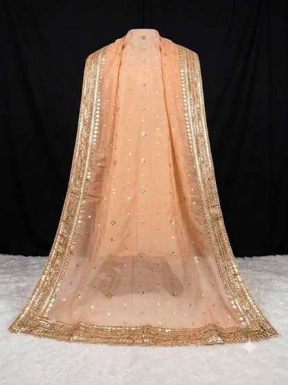 Heavy organza dupatta with heavy lace