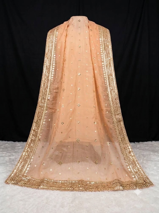 Heavy organza dupatta with heavy lace