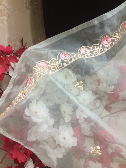 Pastel Blue/Mint Organza Dupatta with Zari & Thread Embroidery
