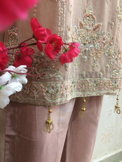 Elegant Nude Beige Embroidered Chiffon Salwar Kameez Suit with Heavy Neckline Work