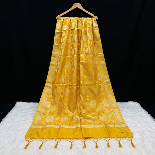 Banarasi heavy organza dupatta