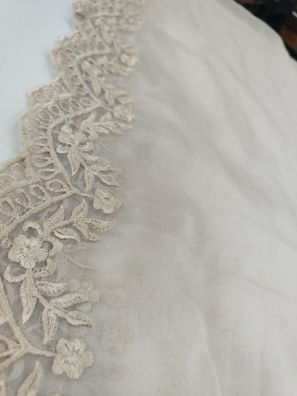 Lightweight Off-White Organza Dupatta with embroidered borded
