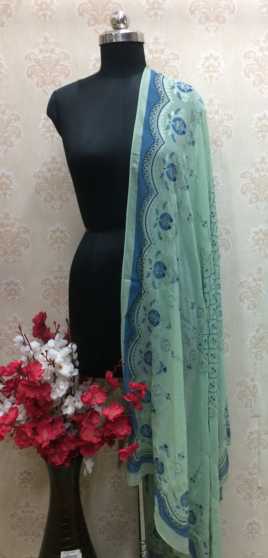 Soft Georgette with blue Detailed Floral Border dupatta