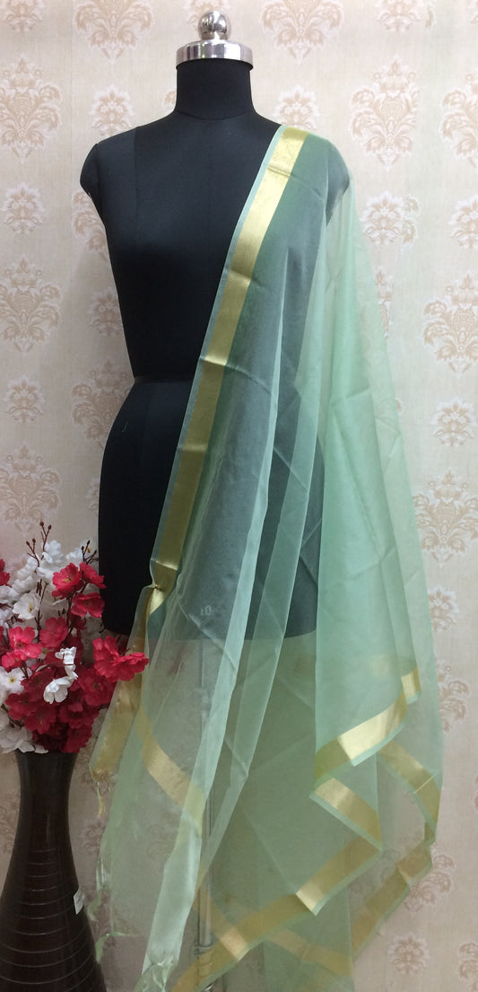 Organza light green dupatta with golden border
