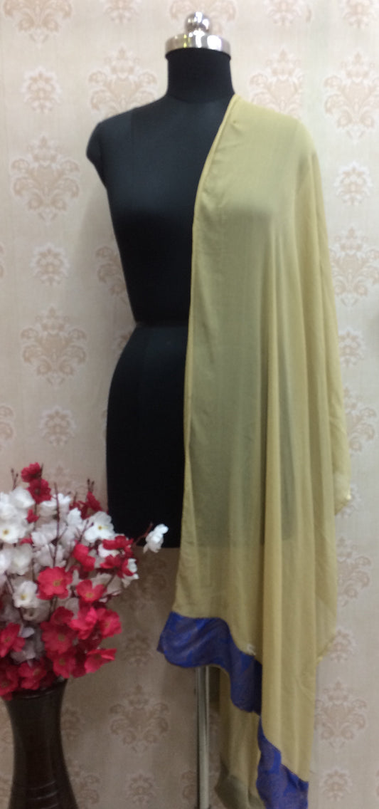 Chiffon beige dupatta with blue border