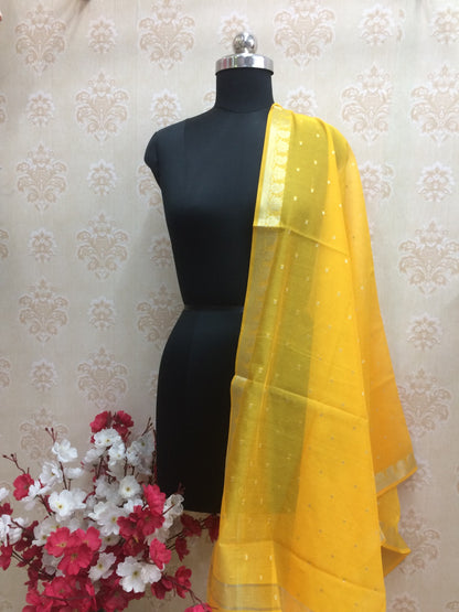 Vibrant Red Sequin Border Dupatta