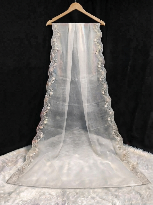 Lightweight Off-White Organza Dupatta with embroidered borded